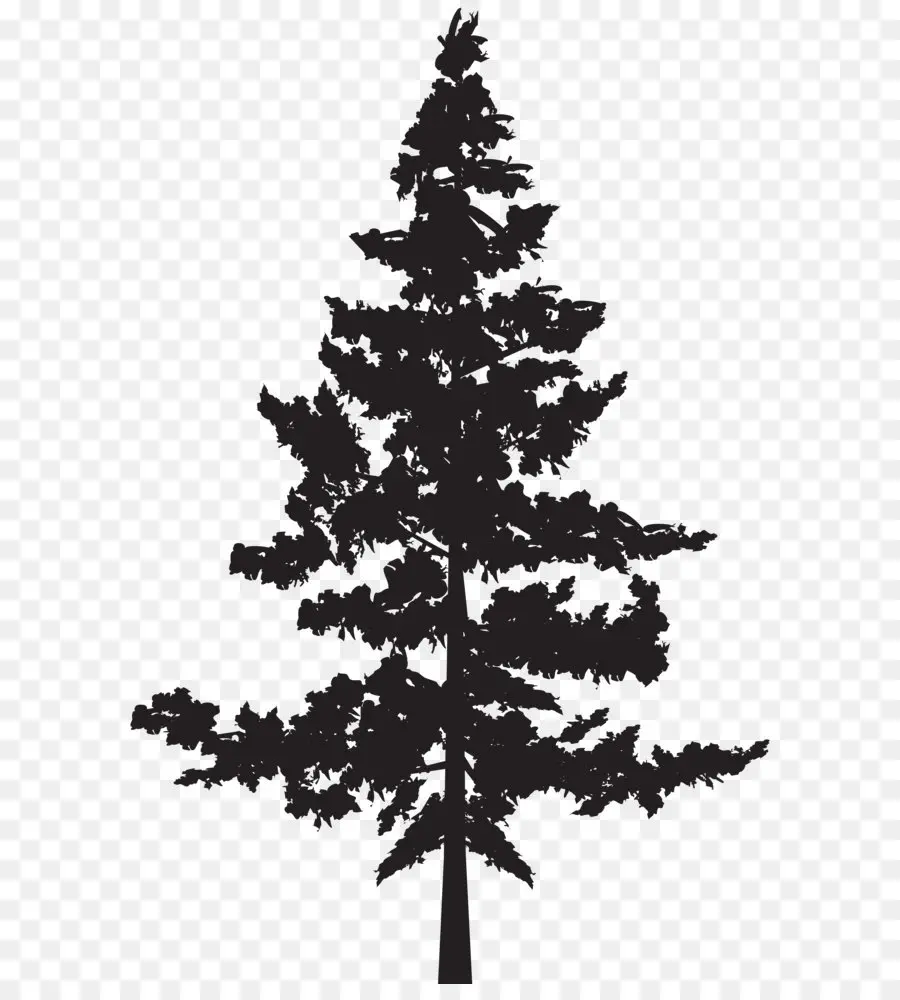 Pino，Árbol PNG