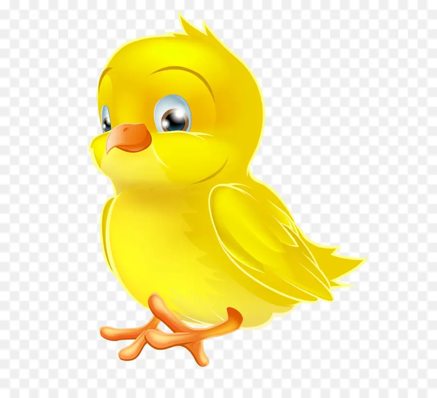 Pollito Amarillo，Lindo PNG