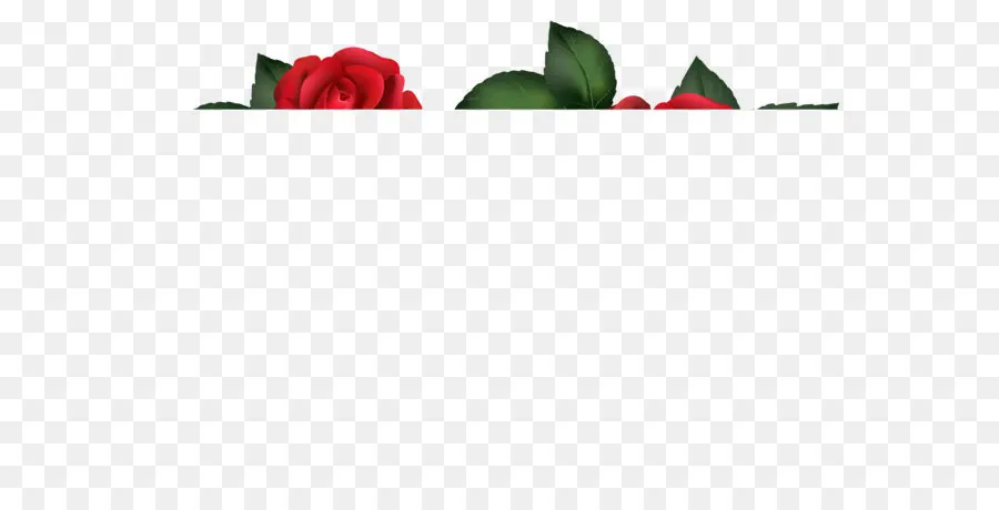 Rosas Rojas，Hojas PNG