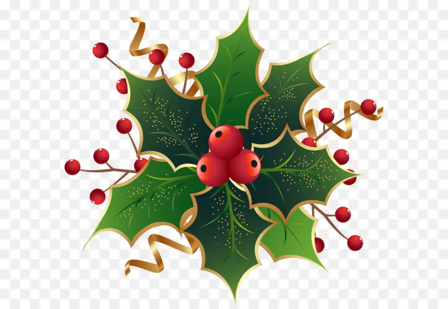 Común Holly，La Navidad PNG