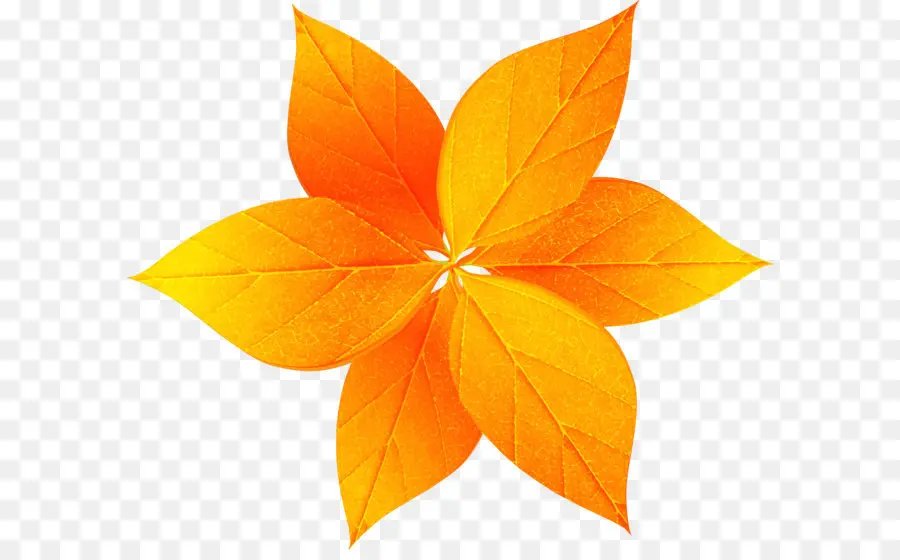 Flor，Hojas PNG