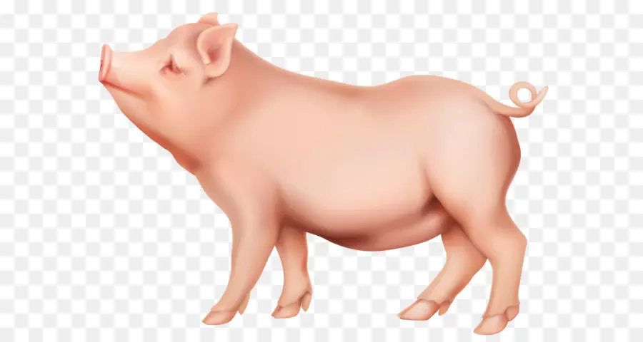 Cerdo，Iphone PNG