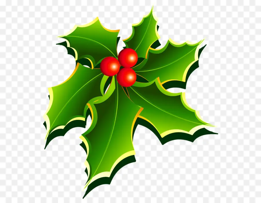 Común Holly，El Muérdago PNG