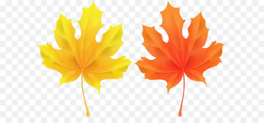 Hojas De Otoño，Caer PNG