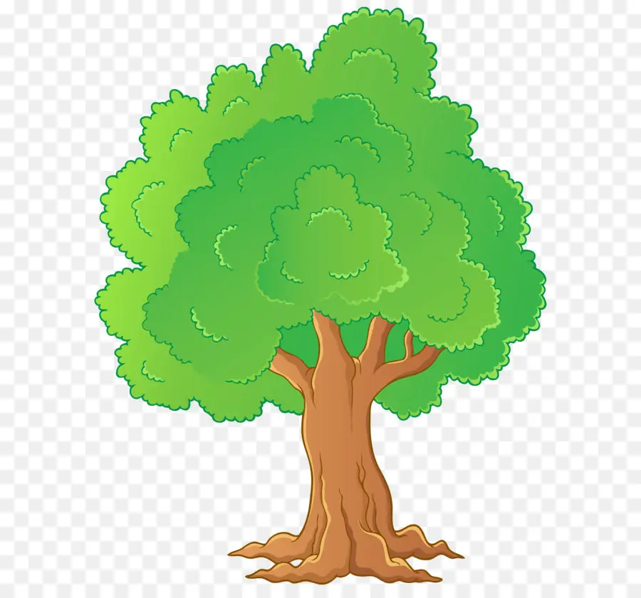 Árbol，La Historieta PNG