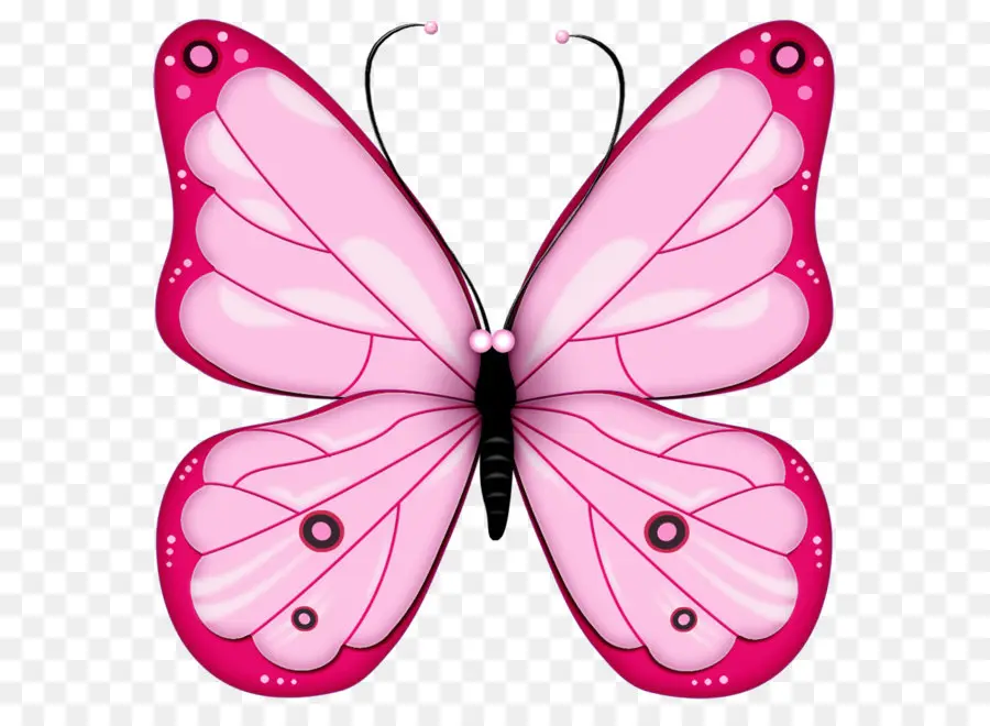 Mariposa，Greta Auto PNG