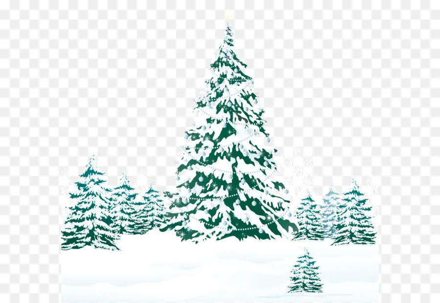 La Navidad，Navidad árbol PNG