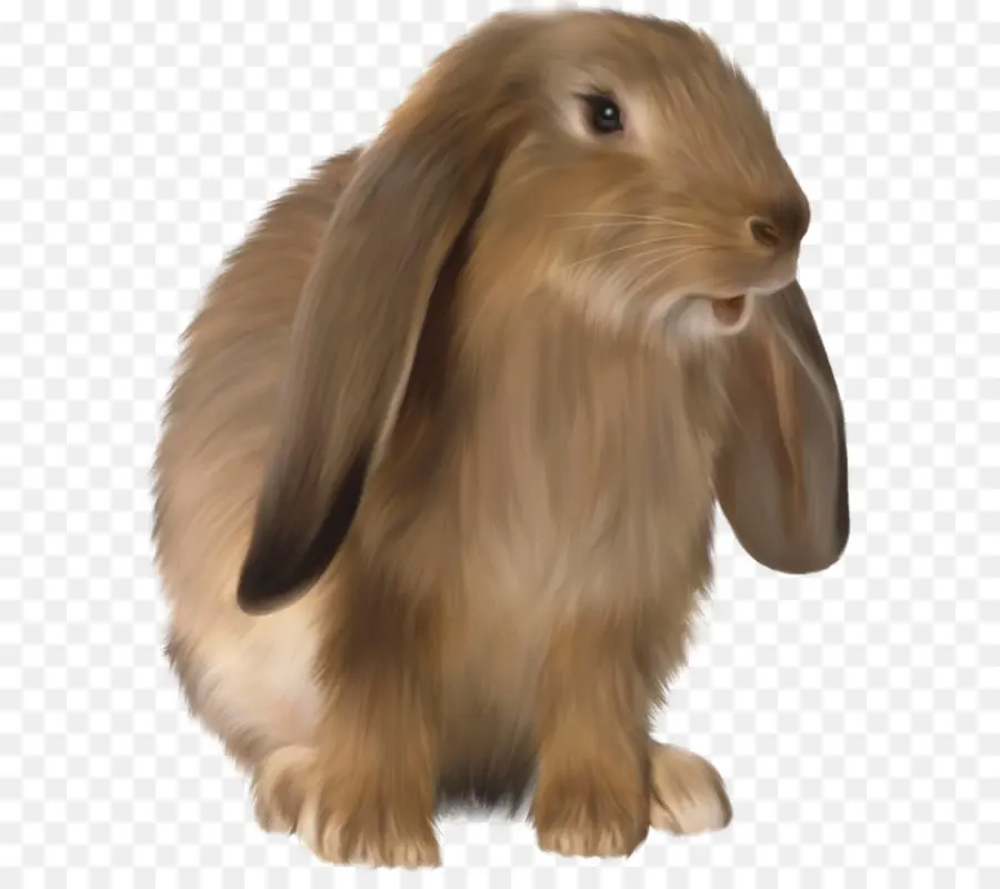 Conejito De Pascua，La Liebre PNG