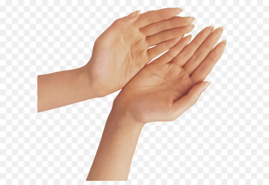 De La Mano，Dedo PNG