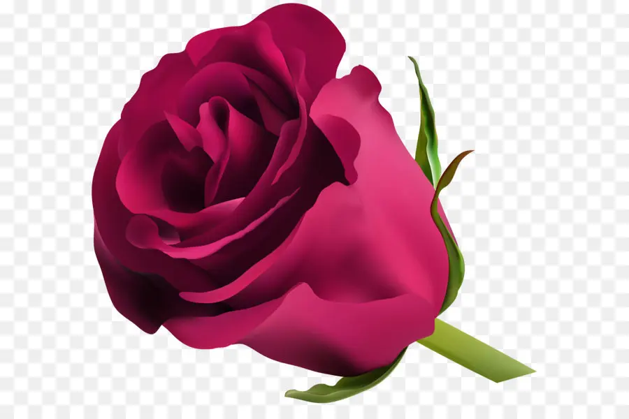 Ramo De Rosas Rosadas，Rosas PNG