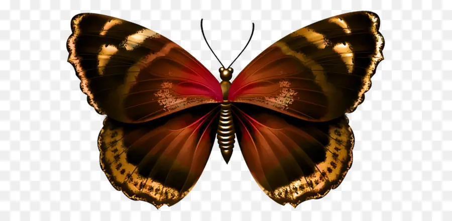 Mariposa Colorida，Vistoso PNG