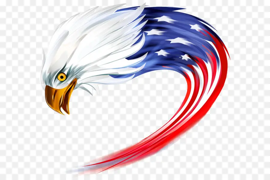 Estados Unidos，American Eagle Confecciones PNG