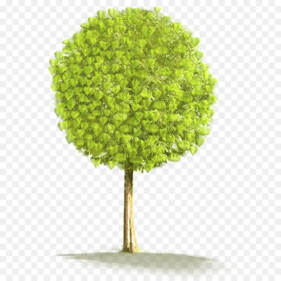 Árbol Verde Redondo，Árbol PNG