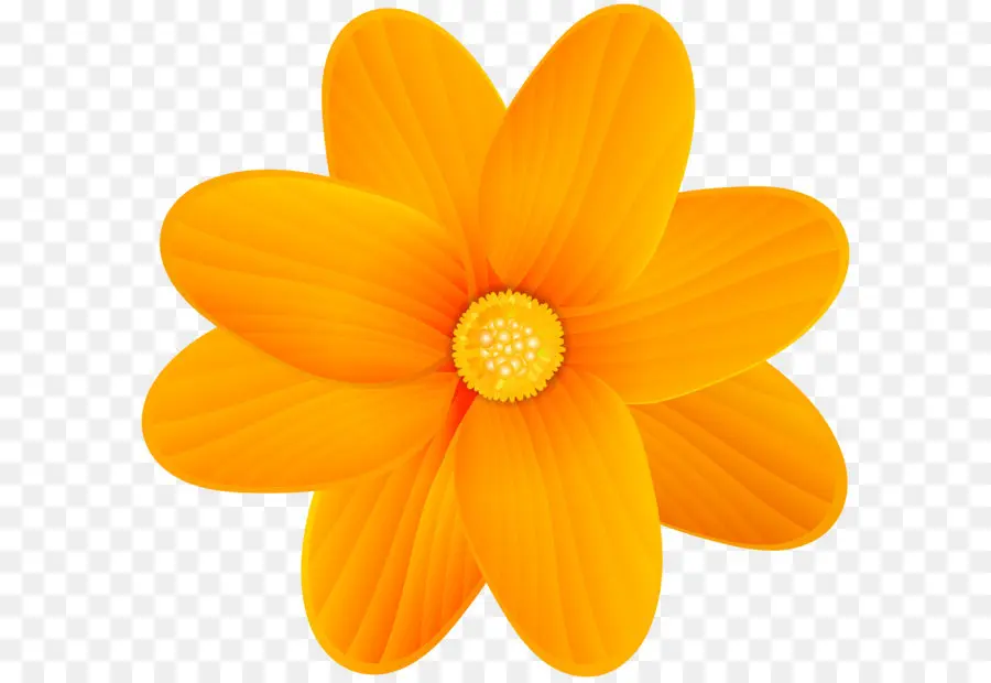 Flor，Amarillo PNG