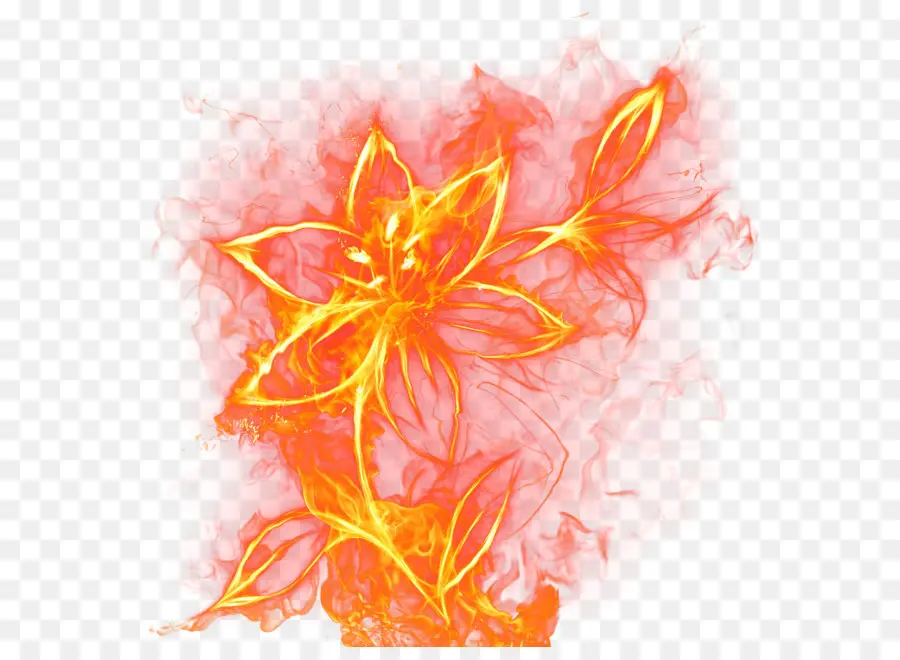 Fuego，Flor PNG