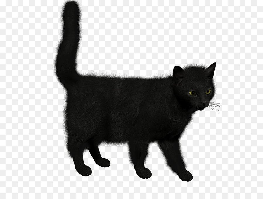 Gato Negro，Pelo PNG