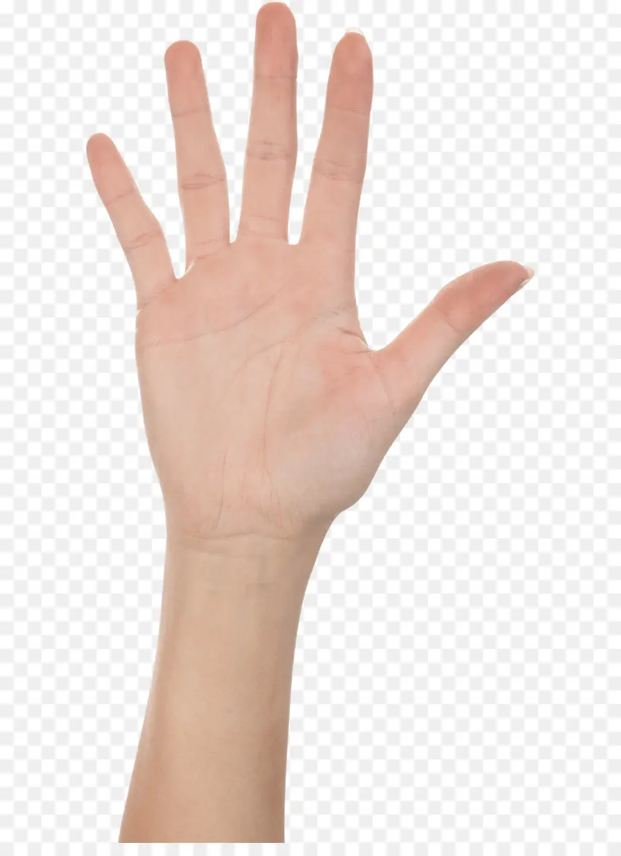 Dedo，De La Mano PNG