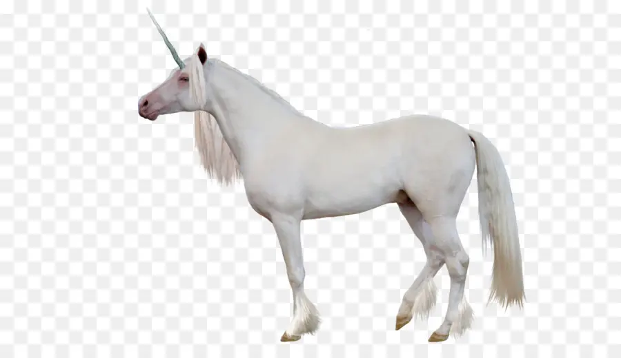 Unicornio，La Legendaria Criatura PNG