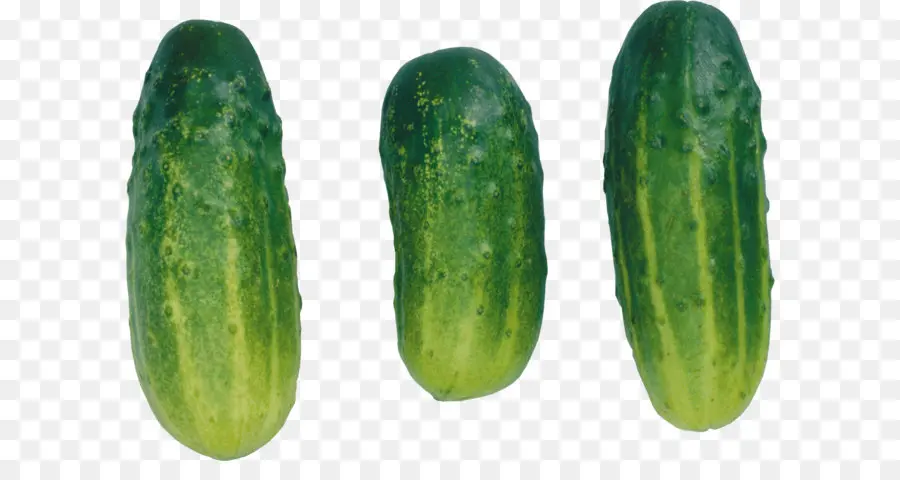 Pepino，Encurtido De Pepino PNG