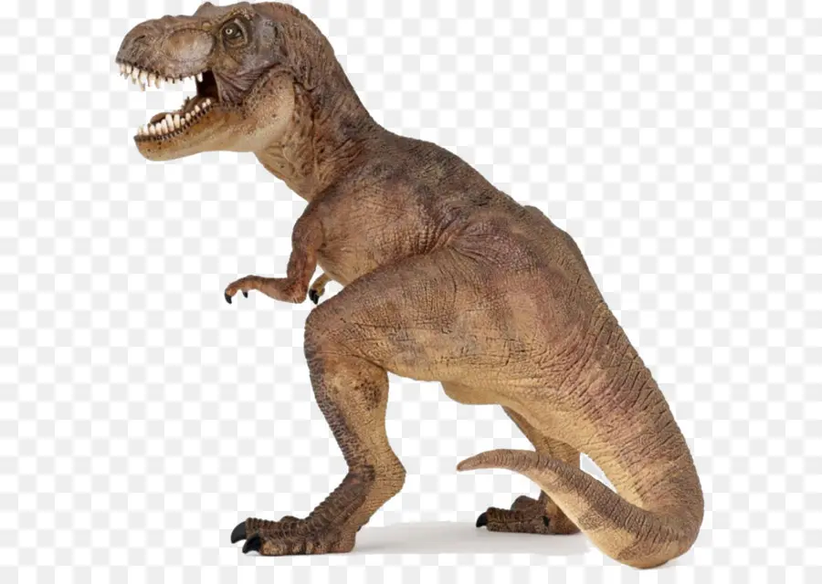 Tyrannosaurus，Acrocanthosaurus PNG