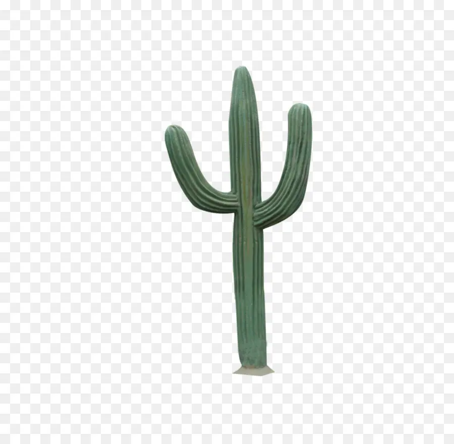 Cactus，Desierto PNG