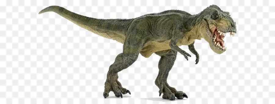 Carnívoros Dinosaur Hunter，Tyrannosaurus PNG