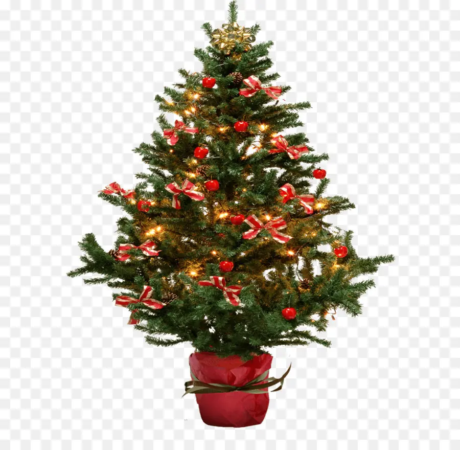 La Navidad，Navidad árbol PNG