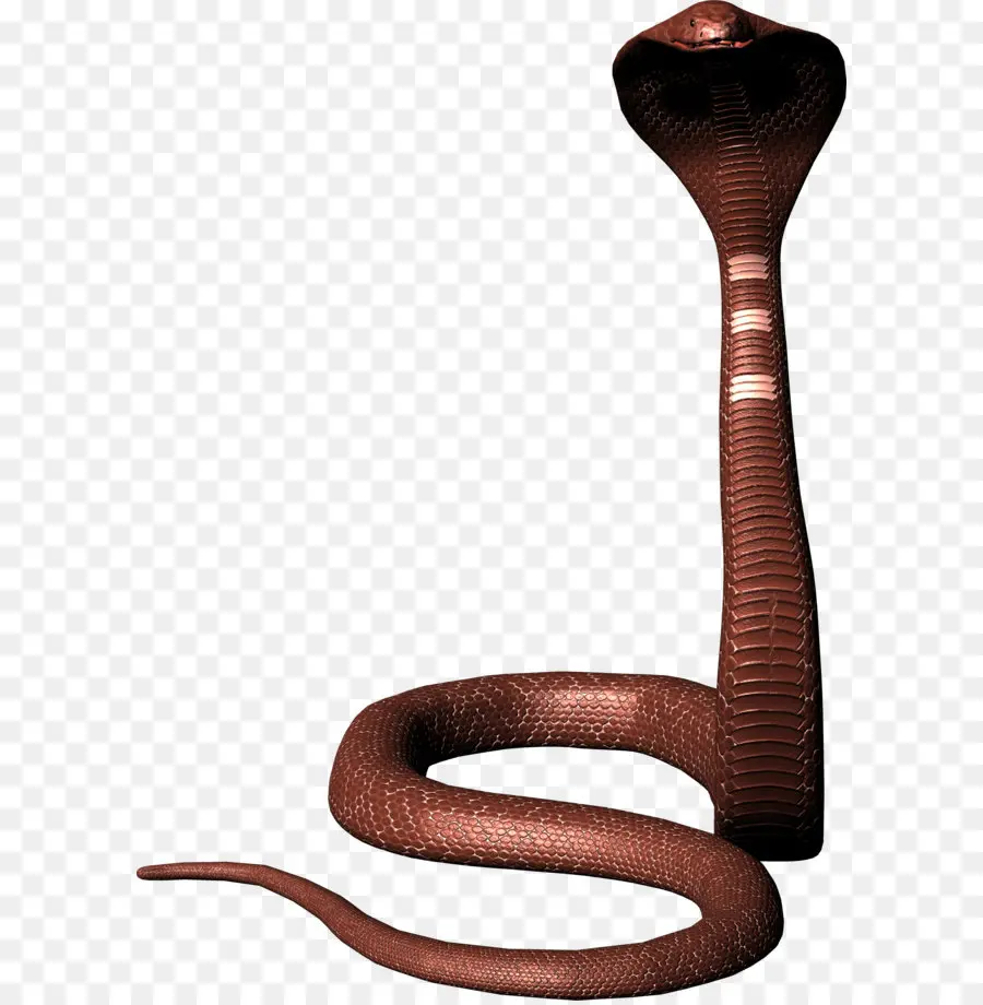 La Serpiente，Reptiles PNG