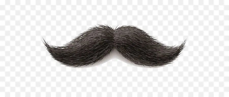 Bigote，Cabello PNG