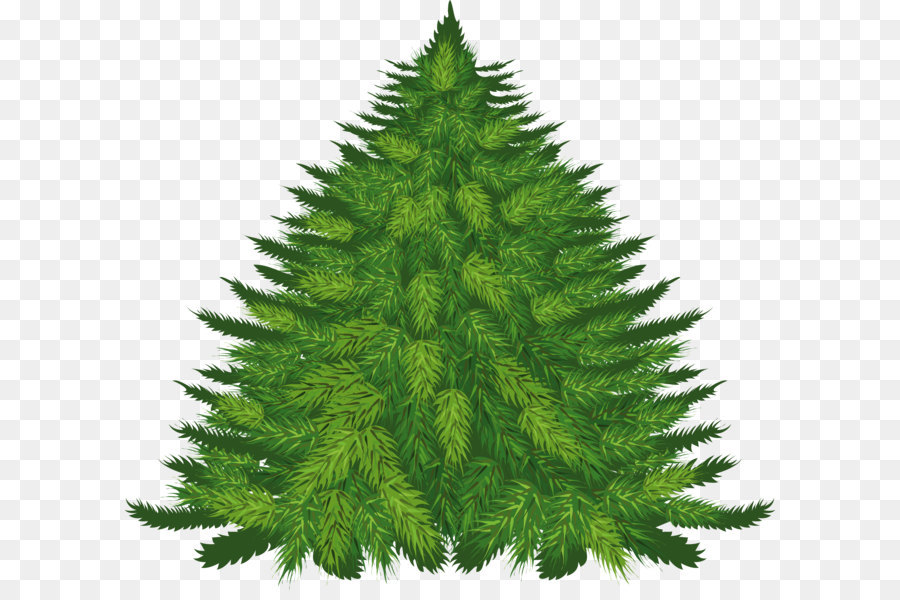 Año Nuevo árbol，Árbol PNG