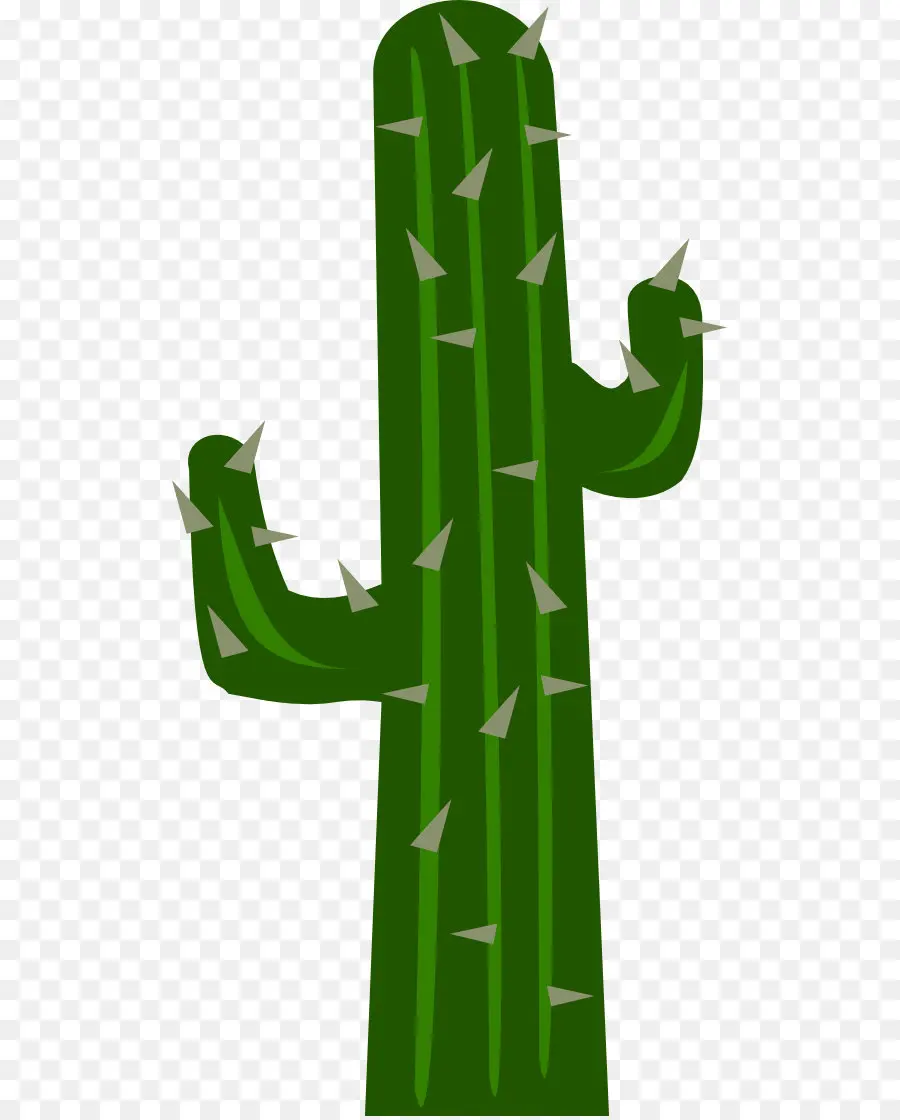 Cactaceae，Saguaro PNG