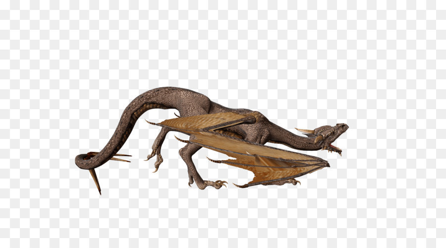 Dragón，La Fotografía PNG