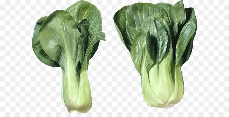 Col，Brassica Juncea PNG