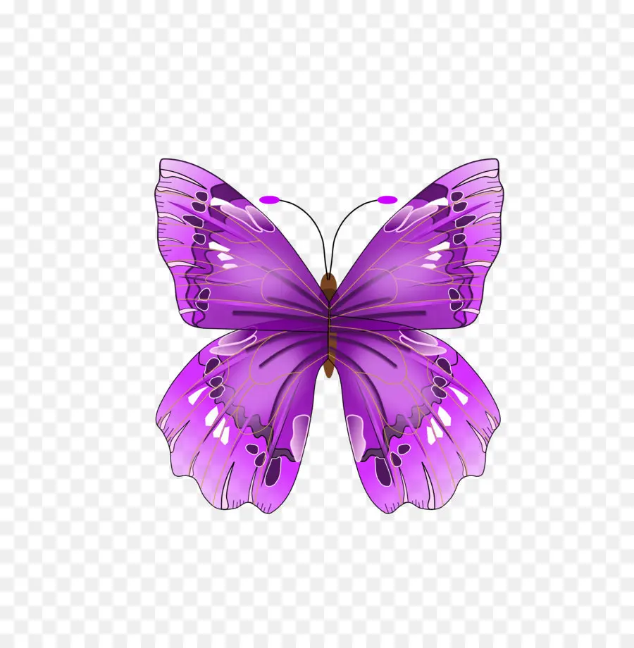 Mariposa，Púrpura PNG