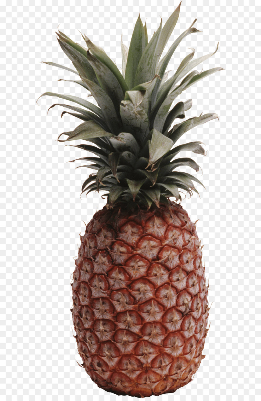 Piña Azul，Fruta PNG