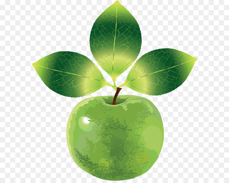 Apple，La Fruta PNG