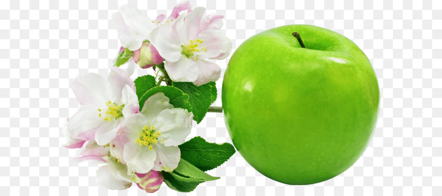 Manzana Verde，Florecer PNG