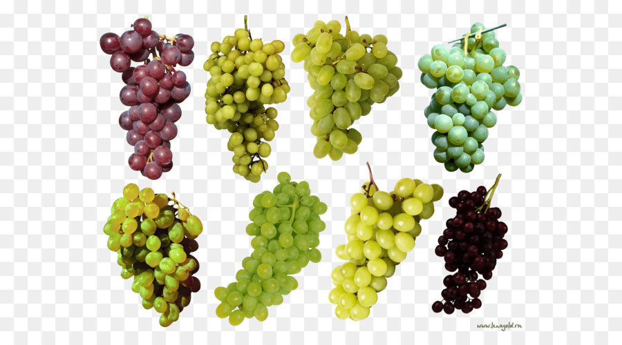 Uvas，Racimo PNG