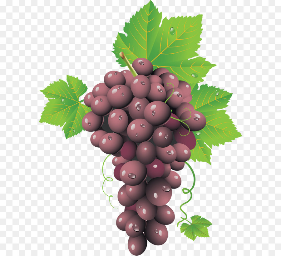 Uvas Moradas，Hojas PNG