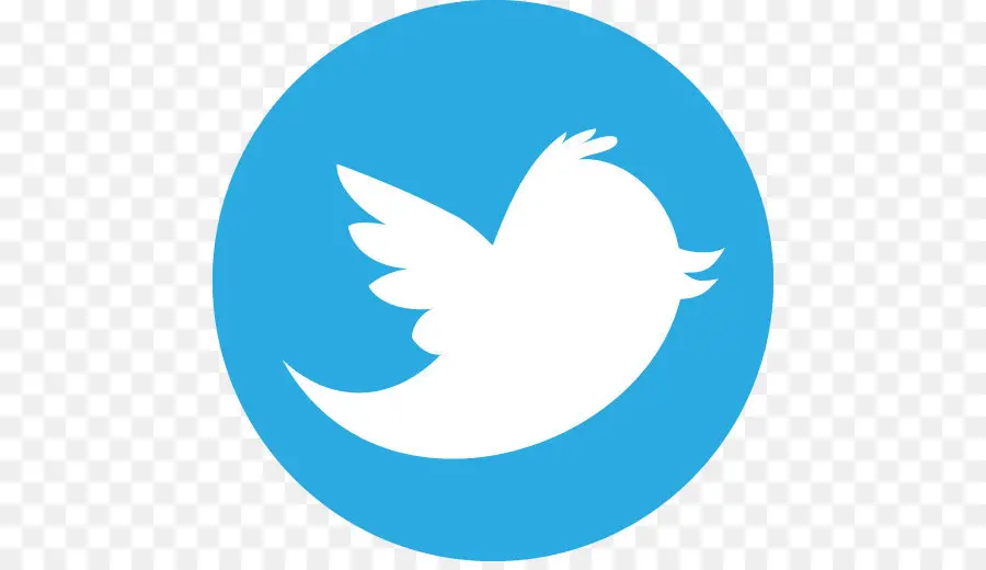 Logotipo De Twitter，Redes Sociales PNG