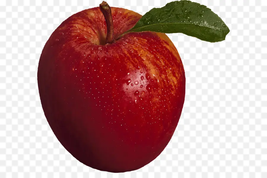 Ipod Touch，Manzana PNG