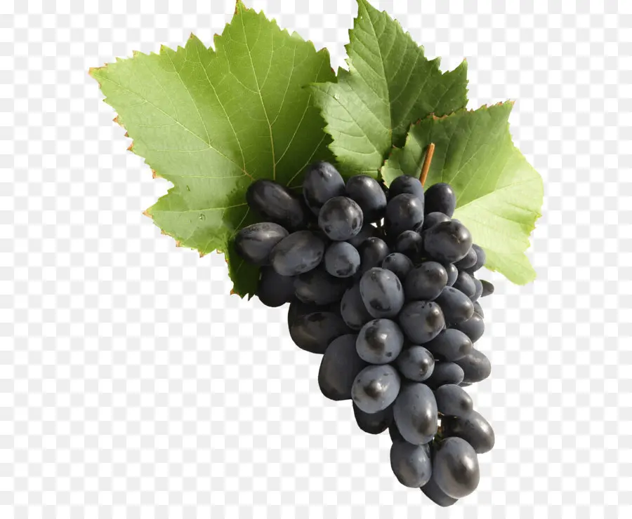 Uvas Moradas，Enredadera PNG