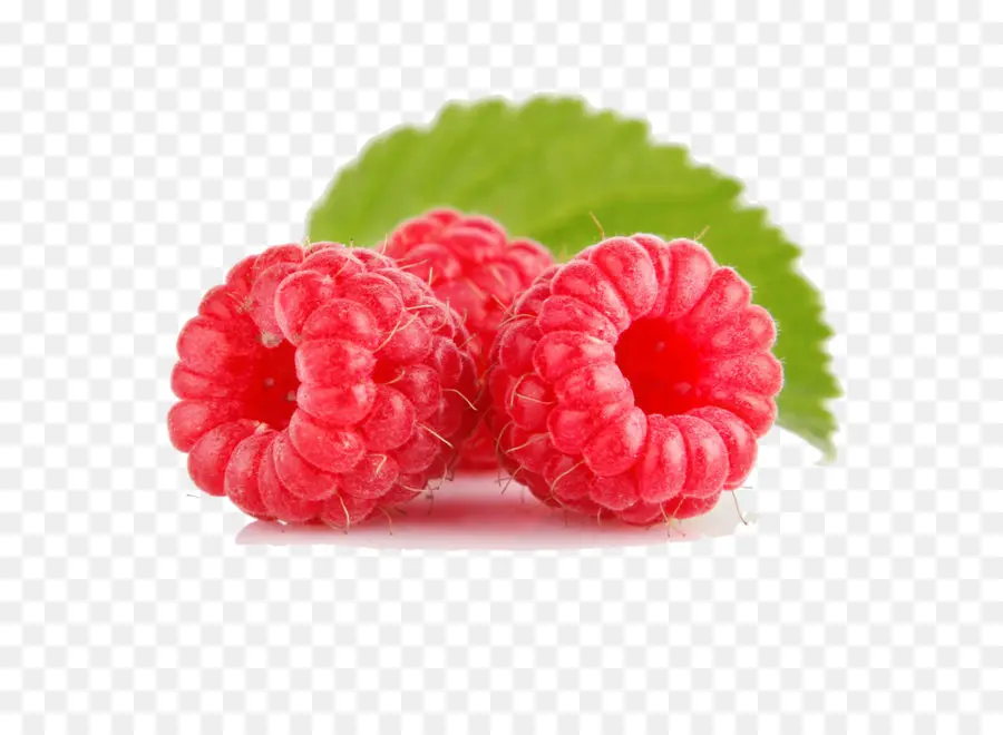 Jugo，Rubus PNG