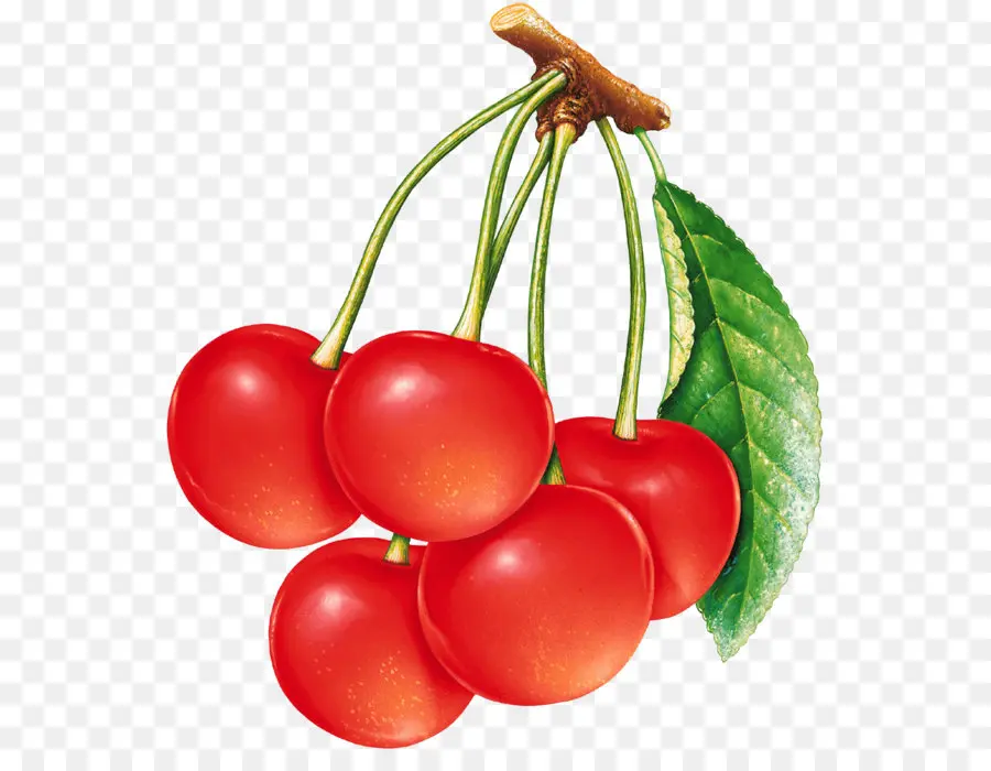 Cereza，Berry PNG