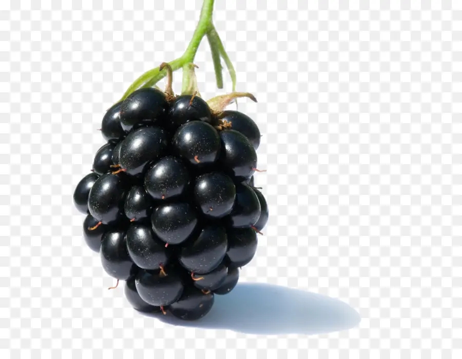 Jugo，Blackberry PNG