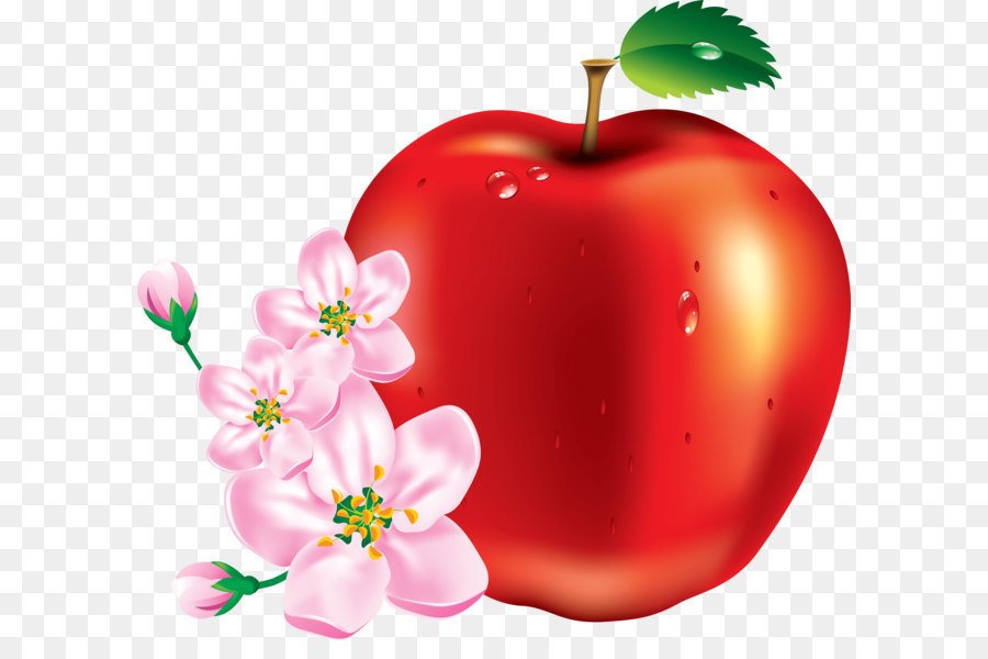 Manzana Roja，Florecer PNG