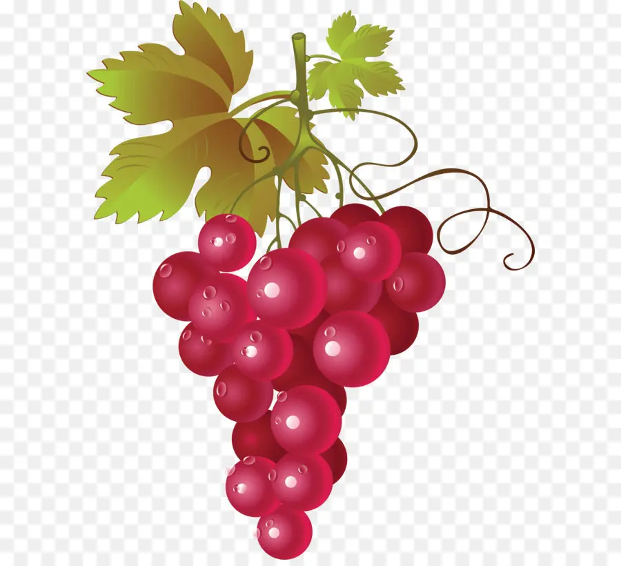 Vino Tinto，Común De Uva De La Vid PNG