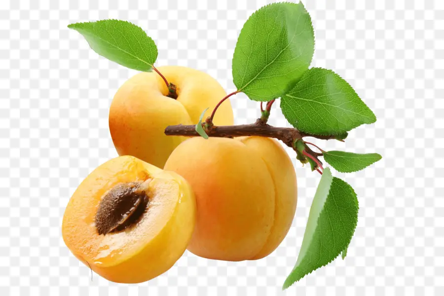 Albaricoque，La Fruta PNG