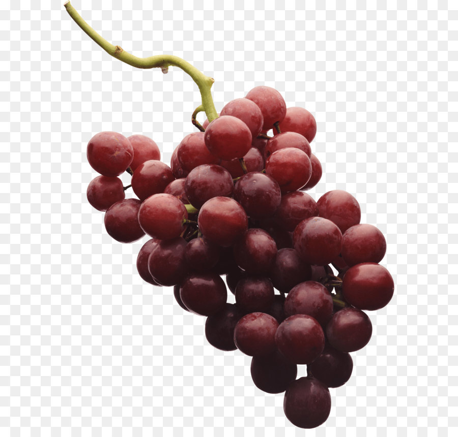 Vino Tinto，Común De Uva De La Vid PNG