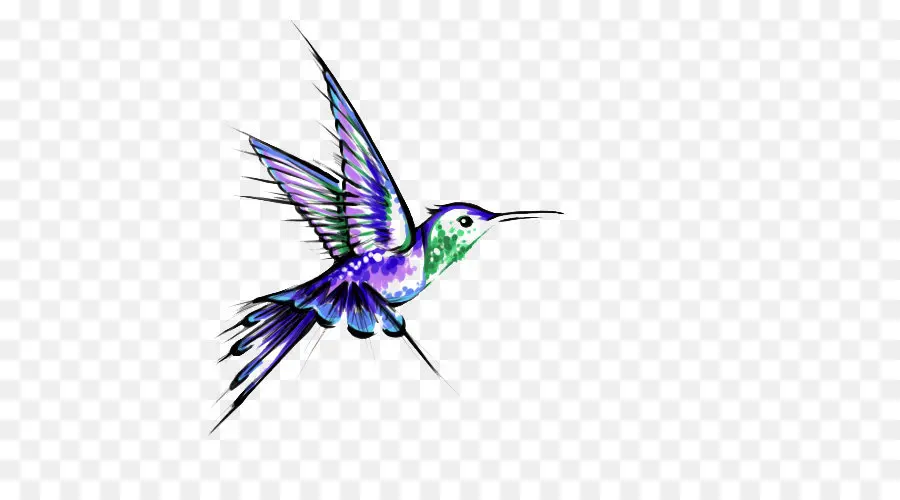 Colibrí，Aves PNG